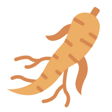 Ginseng