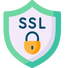 Security Icon
