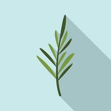 Rosemary Leaf